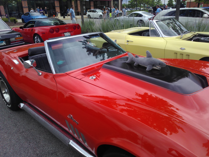 Illustration for article titled Massive Photo Dump of Cool Cars I took Pictures of